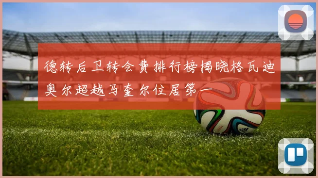德转后卫转会费排行榜揭晓格瓦迪奥尔超越马奎尔位居第一