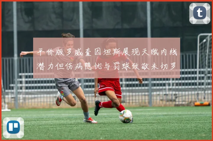 平价版罗威奎因坦斯展现天赋内线潜力但伤病隐忧与罚球致敬米切罗